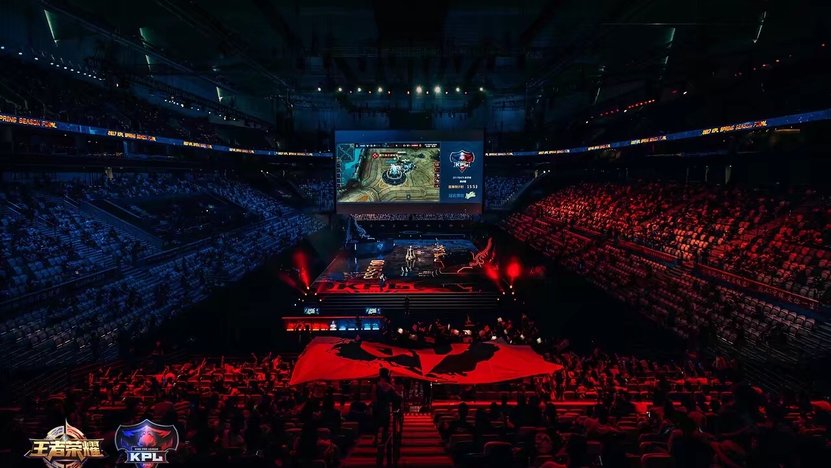 的无畏与坚 的无畏与坚